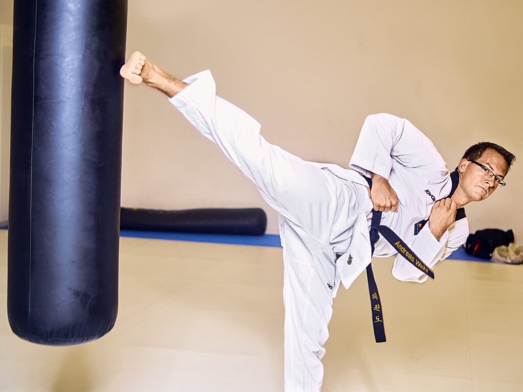 taekwondo Master